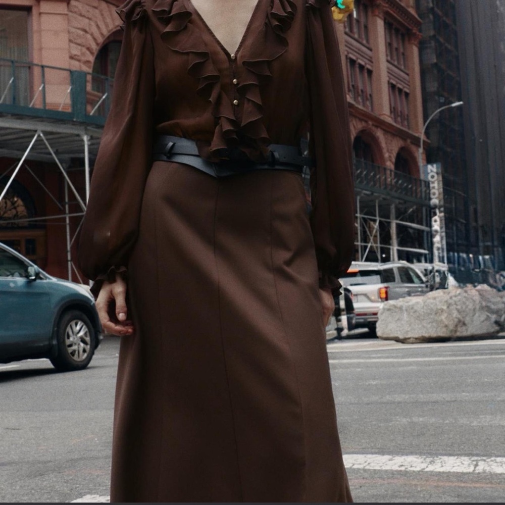 Zara Elegant Brown Women's Dress